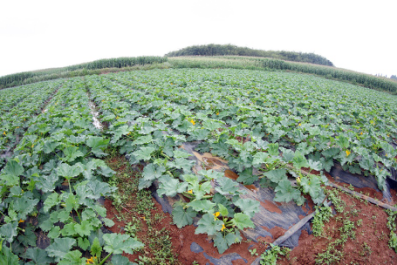 1473138623143171rNGP.png 圖片1.png