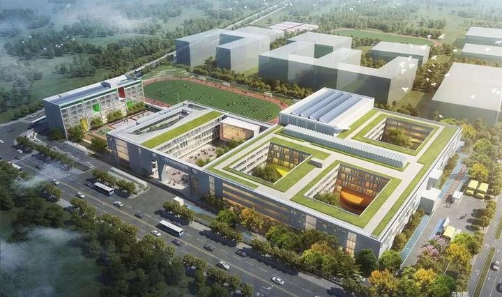 1526270064511663YbhN.jpeg 1.jpeg